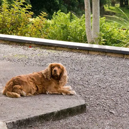 Mountain View 3* Lauragh