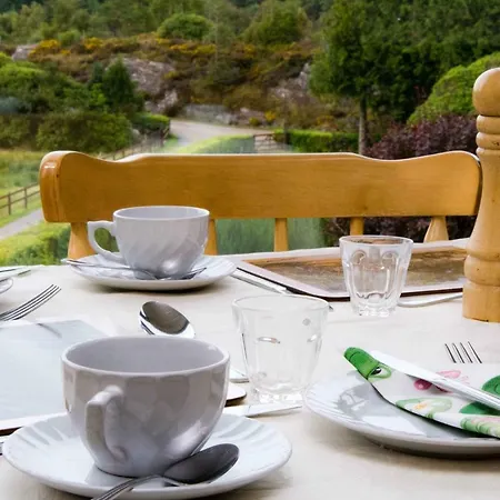 Bed and Breakfast Mountain View