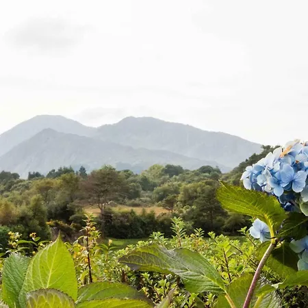 Mountain View *