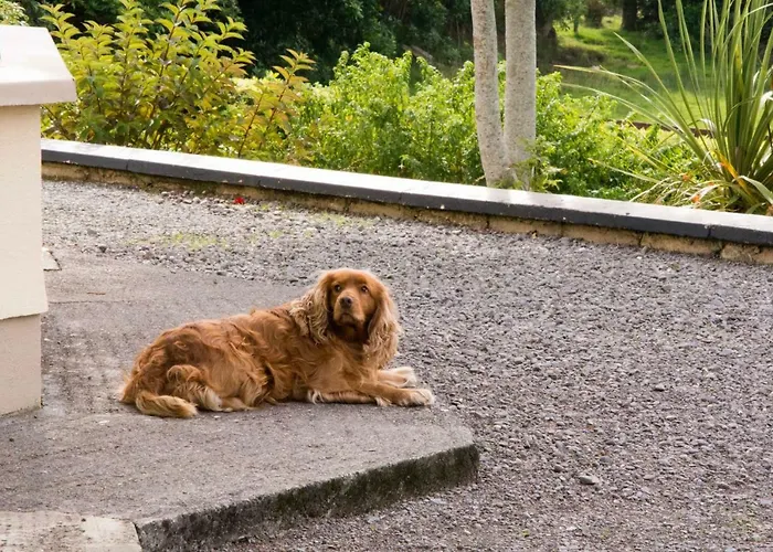 Mountain View 3* Lauragh